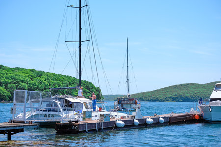 Novik Bay of the Russian island. People relax and sunbathe on the beach.のeditorial素材