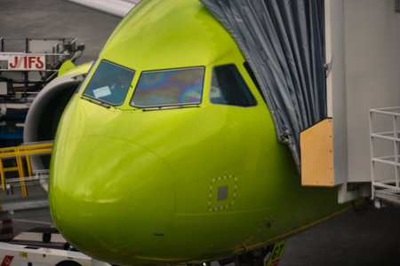 Narita, Japan - Feb 03, 2020: the area of the Narita airport in Tokyo. Plane Parking at Narita airport. an AIRBUS A320NEO aircraft with the tail number VQ-BGT of SIBERIA AIRLINES is being prepared for a flight to Khabarovsk, Russia. Narita international aのeditorial素材