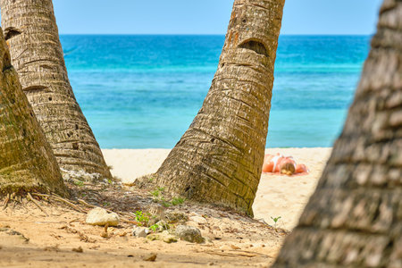 White beach of Boracay island. Tourists sunbathe on the beach under palm treesの写真素材