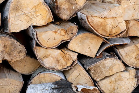 Pile of a birch firewood. Birch logs lying on the ground. Top and side view.の写真素材