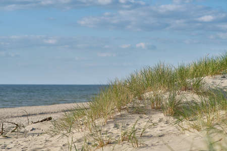 Sand dunes of the russian part Curonian Spit. Kaliningrad region, Russiaの写真素材