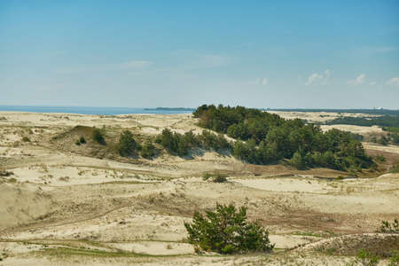 Sand dunes of the russian part Curonian Spit. Kaliningrad region, Russiaの写真素材