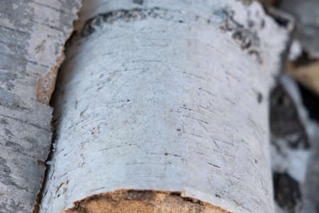 Pile of a birch firewood. Birch logs lying on the ground. Top and side view.の写真素材