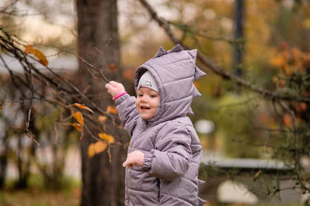 A little girl in a dinosaur jacket is playing with autumn leaves.