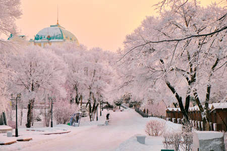 Culture and Recreation Park of Khabarovsk, Russia after heavy snowfall in the morning at sunrise....