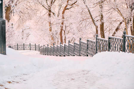 Culture and Recreation Park of Khabarovsk, Russia after heavy snowfall in the morning at sunrise. Trees in the snow.の写真素材
