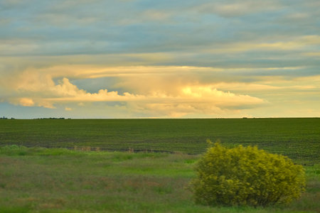 A beautiful sunset on the background of an asphalt road leading to the city of Blagoveshchensk in Russiaの写真素材
