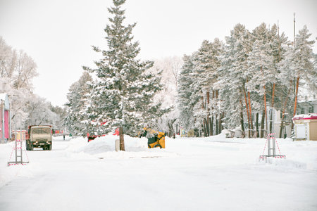 Khabarovsk, Russia - Nov 24, 2021: Culture and Recreation Park of Khabarovsk, Russia after heavy snowfall in the morning at sunrise. Trees in the snow.のeditorial素材