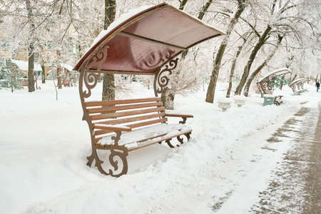 Culture and Recreation Park of Khabarovsk, Russia after heavy snowfall in the morning at sunrise. Trees in the snow.の写真素材