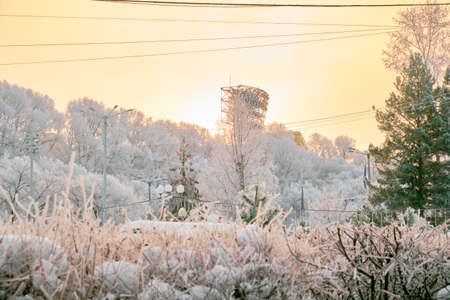 Culture and Recreation Park of Khabarovsk, Russia after heavy snowfall in the morning at sunrise. Trees in the snow.の写真素材