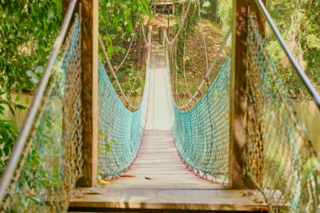 Sepilok, Sabah, Malaysia - Jan 2025: Forest canopy Sky Walk at the Rainforest Discovery Centre in Sepilok.の写真素材