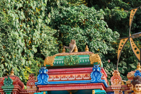 KUALA LUMPUR, MALAYSIA - DECEMBER 31, 2024: colored staircase to the caves of Batuのeditorial素材