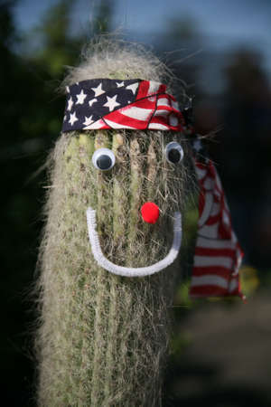 Patriotic Cactusの写真素材