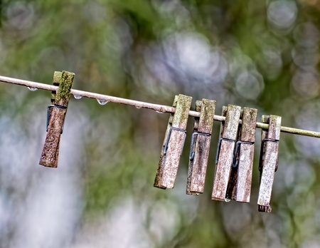 weathered clothepins seaprated and grouped