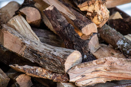 Pile with various pieces of wood, firewood, with different colors, sizes and shapesの写真素材