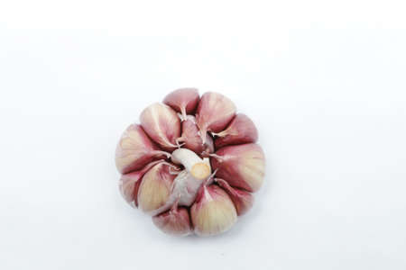 A head of garlic (Allium sativum), seen from above, slightly peeled, each clove can be seen in pinkish tones on the edges and on a neutral backgroundの写真素材