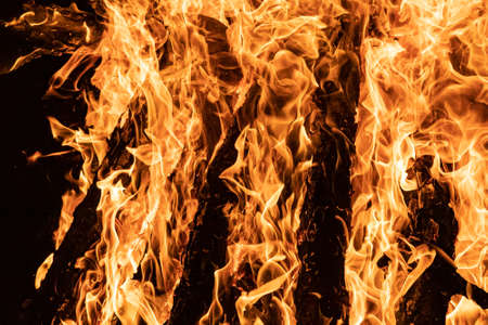Bonfire with emphasis on the shape of the fire in its orange color, with the logs (wood) being...