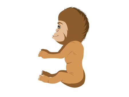 gorilla child on isolated background

