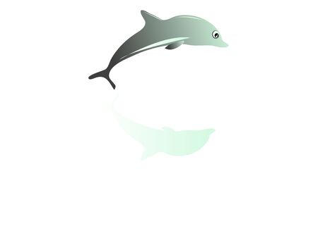 whale jump on isolated background
の写真素材