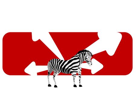 zebra on abstract background
の写真素材