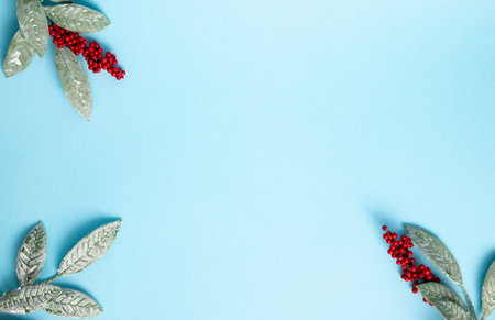 Stylishly arranged mistletoe branches against a pastel blue backround. Minimalist flat layout.の写真素材