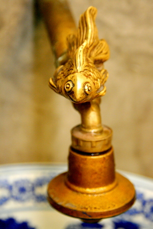 Gold fish facetの写真素材