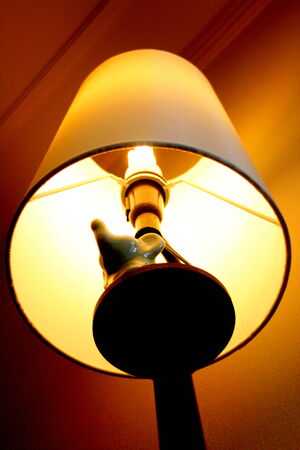 elephant lampの写真素材