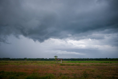 Storm coming