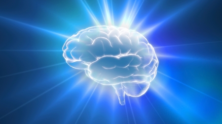 Blue brain outline flares is the best way for any medical theme.IQ concept, the idea of CPU processing. Blue brain outline flares is the best way for any medical theme.IQ concept, the idea of CPU processing.