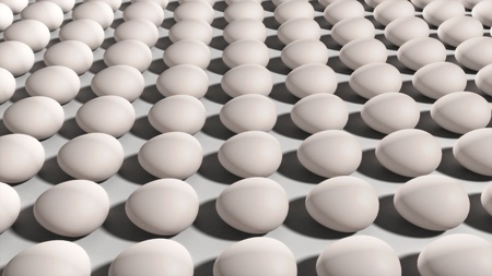 New and fresh eggs provided the theme of food, taste and health concept.