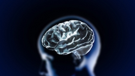 the crystal brain render for medical and biology conceptの写真素材