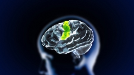 the crystal brain render for medical and biology conceptの写真素材