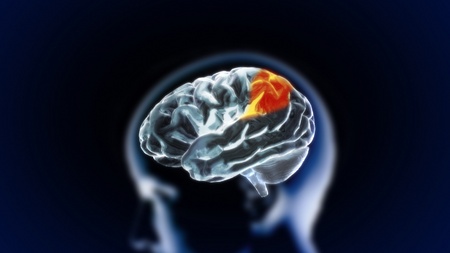the crystal brain render for medical and biology conceptの写真素材