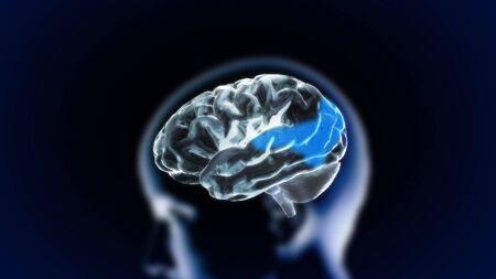 the crystal brain render for medical and biology concept