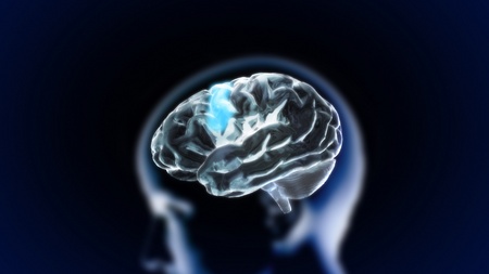 the crystal brain render for medical and biology conceptの写真素材