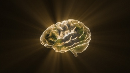 the crystal brain render for medical and biology concept