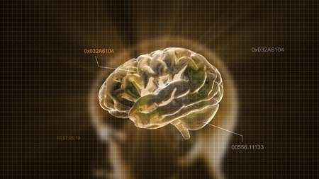 the crystal brain render for medical and biology conceptの写真素材