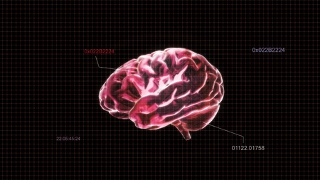 the crystal brain render for medical and biology conceptの写真素材