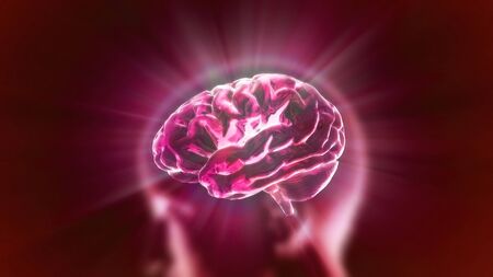 X-ray Brain to represent the theme biology, intelligent,technology 