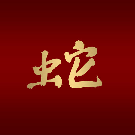 chinese calligraphy of chinese lunar new year の写真素材
