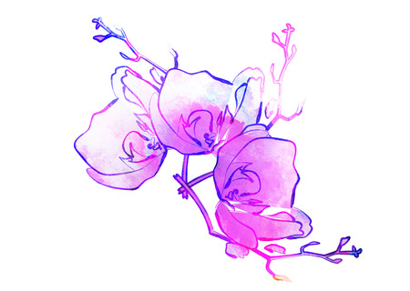 Colorful watercolor flower drawing for use in artistic backgroundの写真素材