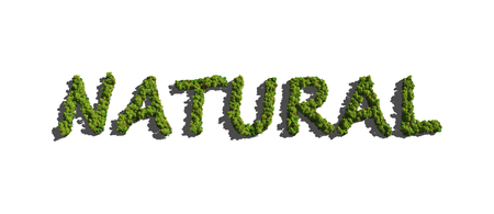 text create by tree for the natural conceptの写真素材