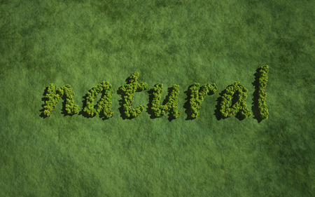 text create by tree for the natural conceptの写真素材