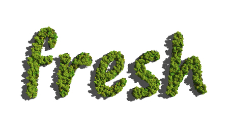 text create by tree for the natural conceptの写真素材