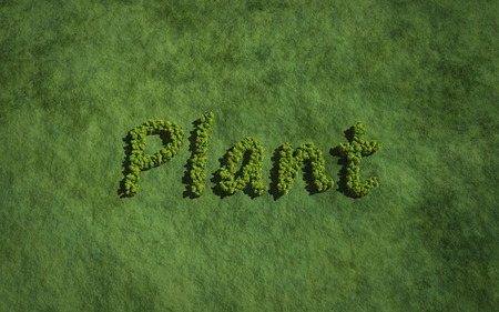 text create by tree for the natural conceptの写真素材