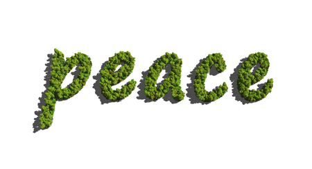 text create by tree for the natural conceptの写真素材