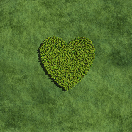 graphic create by tree for the natural conceptの写真素材