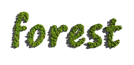 text create by tree for the natural conceptの写真素材