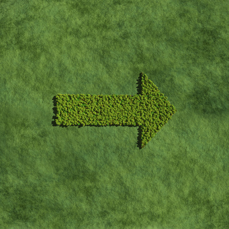 graphic create by tree for the natural conceptの写真素材