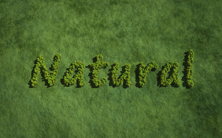 text create by tree for the natural conceptの写真素材